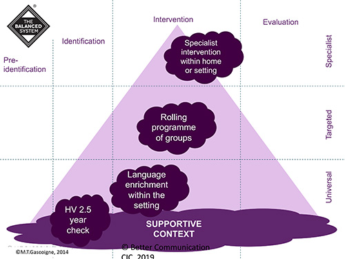 Child or young person's SLCN journey